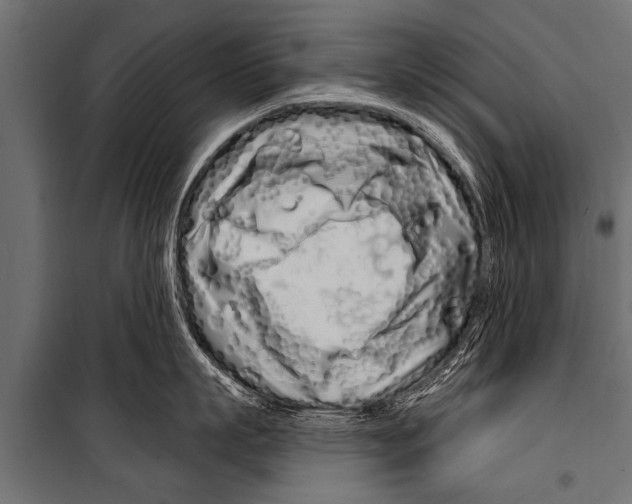 X0000099960863200806201335