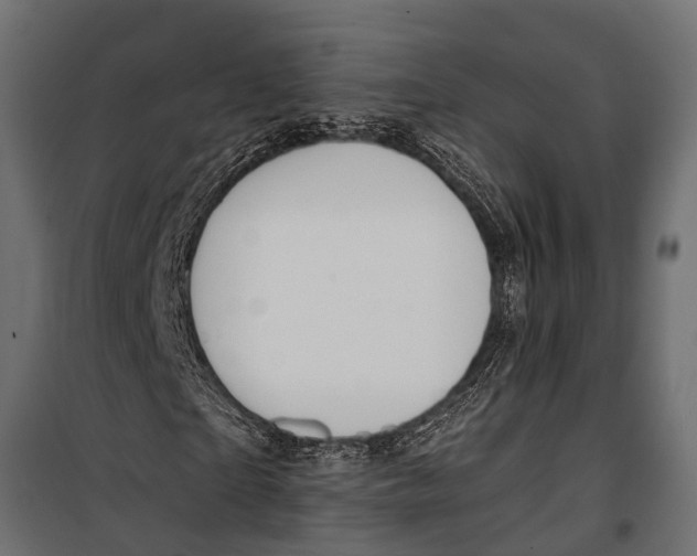X0000099960865200806201335