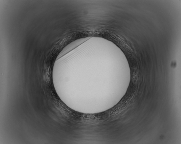 X0000099960866200806201335