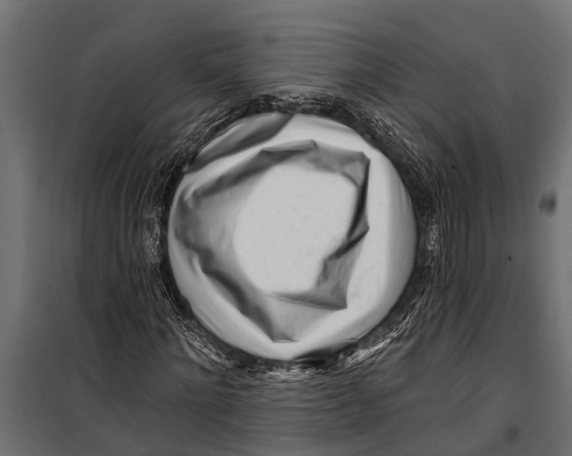 X0000099960868200806201335