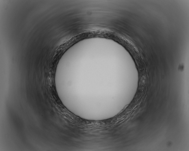 X0000099960869200806201335