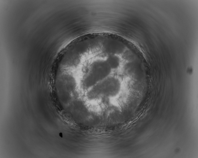 X0000099960871200806201335