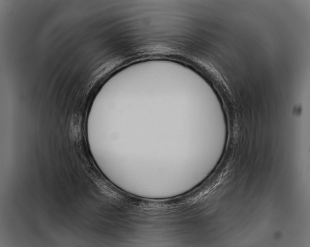 X0000099960873200806201335