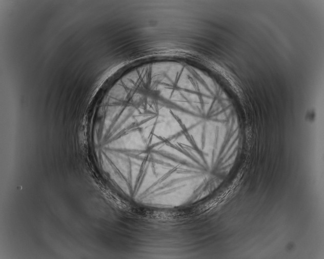 X0000099960875200806201335