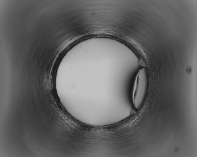 X0000099960876200806201335
