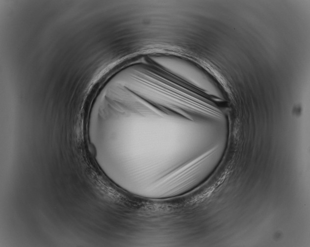 X0000099960877200806201335