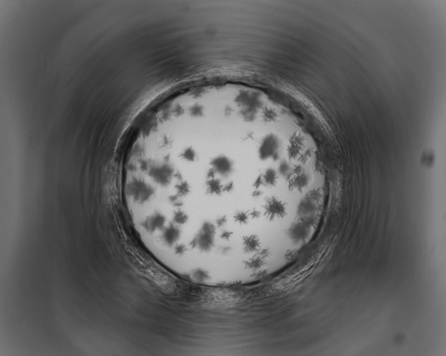 X0000099960878200806201335