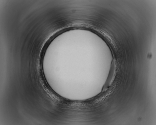 X0000099960880200806201335