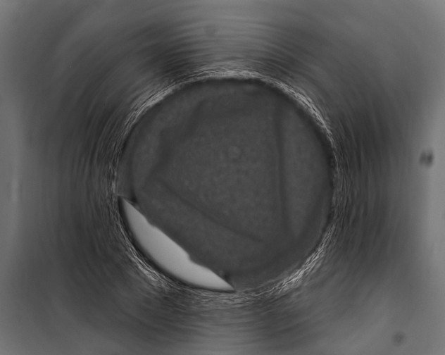 X0000099960881200806201335