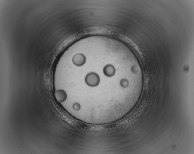 X0000099960882200806201335