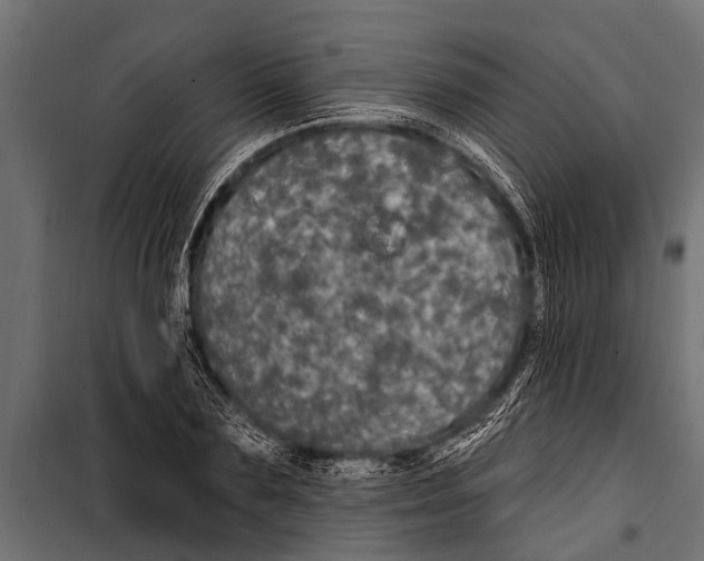 X0000099960883200806201335