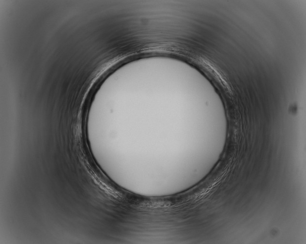 X0000099960884200806201335