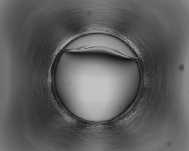 X0000099960885200806201335