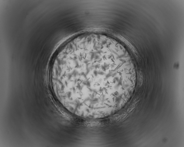 X0000099960886200806201335