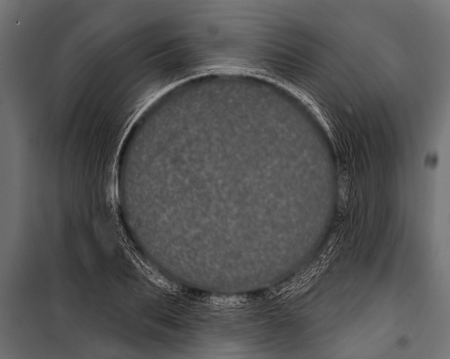 X0000099960887200806201335