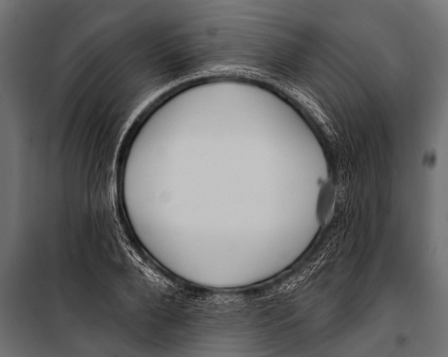 X0000099960888200806201335