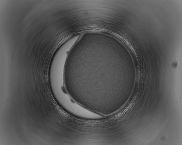X0000099960889200806201334