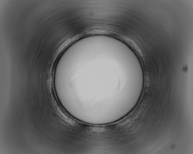 X0000099960890200806201334