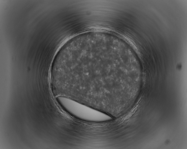 X0000099960891200806201334