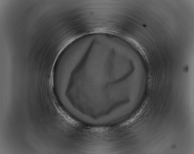 X0000099960892200806201334