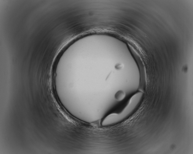 X0000099960894200806201334