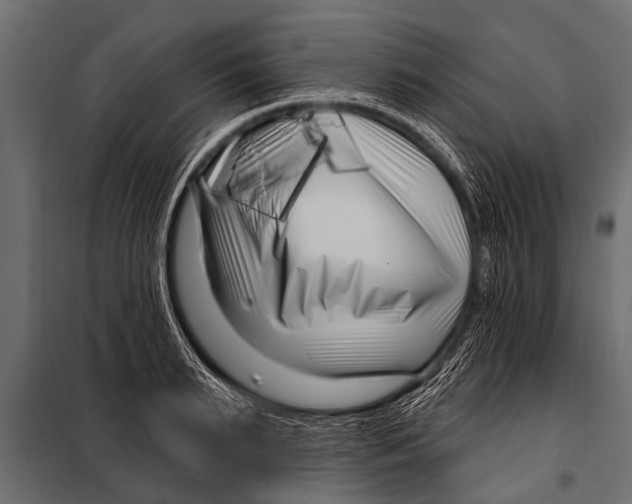 X0000099960895200806201334