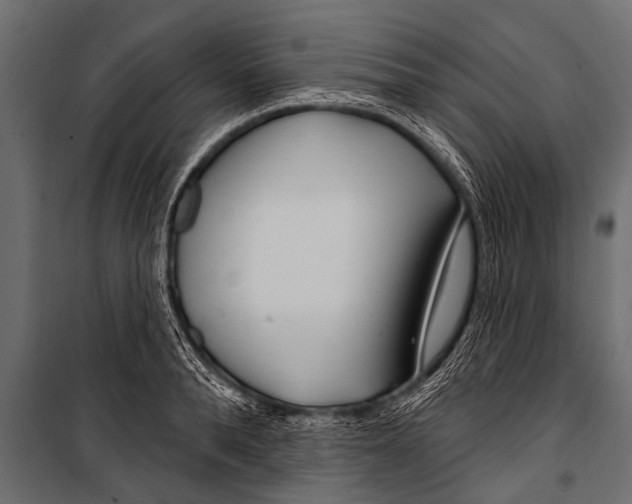 X0000099960896200806201334