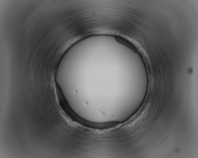 X0000099960897200806201334