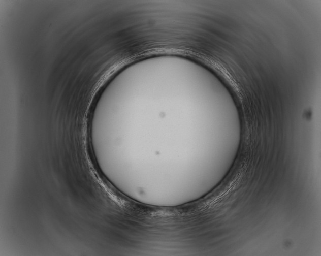 X0000099960898200806201334