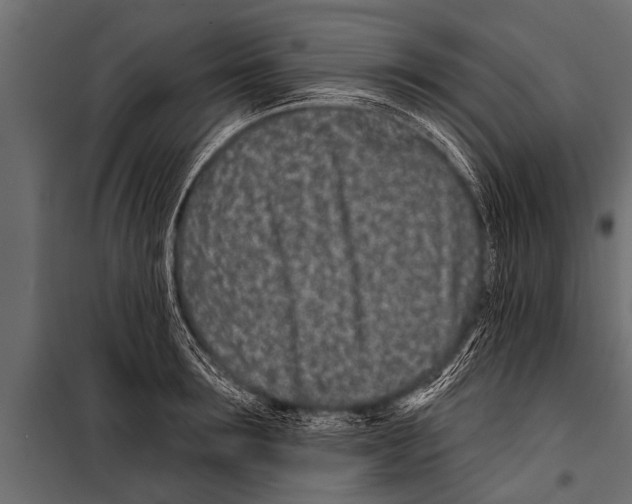 X0000099960899200806201334