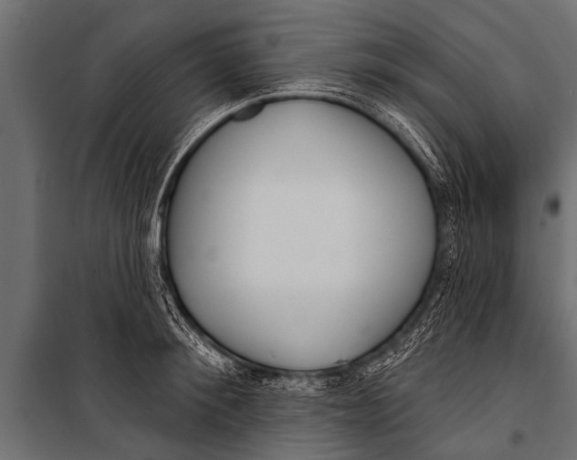 X0000099960900200806201334