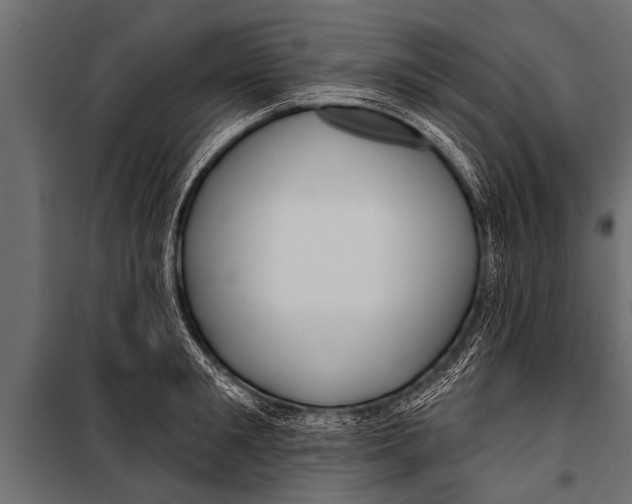 X0000099960901200806201334