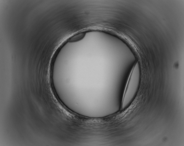 X0000099960902200806201334