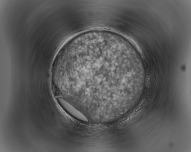 X0000099960903200806201334