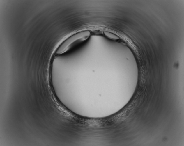 X0000099960904200806201334
