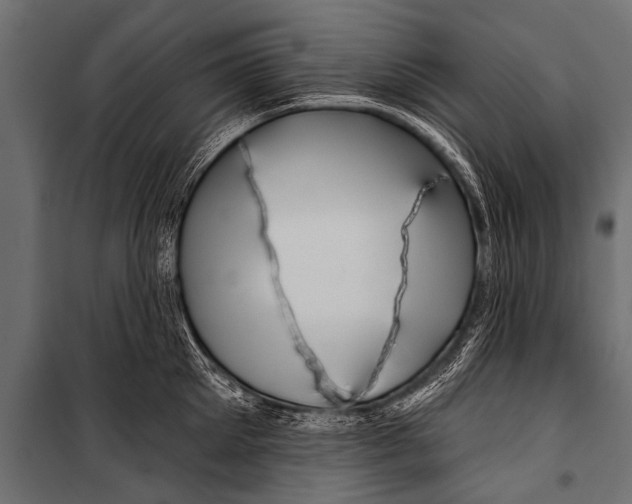 X0000099960905200806201334