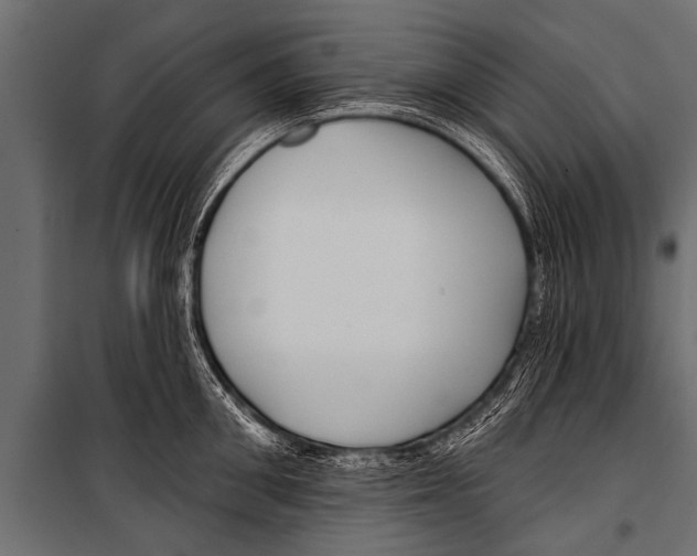 X0000099960906200806201334