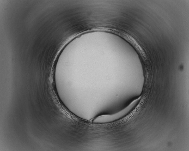X0000099960908200806201334