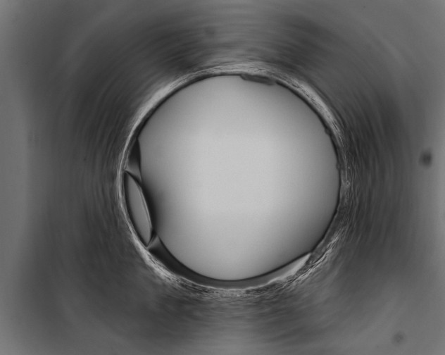 X0000099960909200806201334