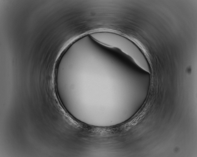 X0000099960910200806201334