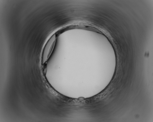 X0000099960912200806201334