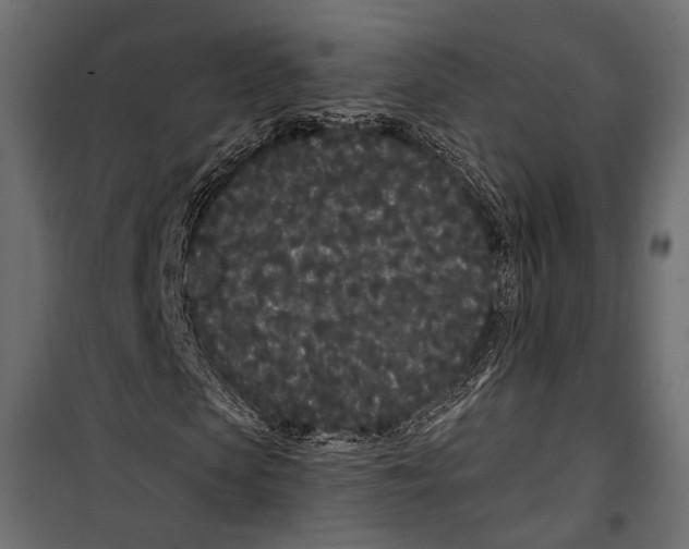 X0000099960913200806201333