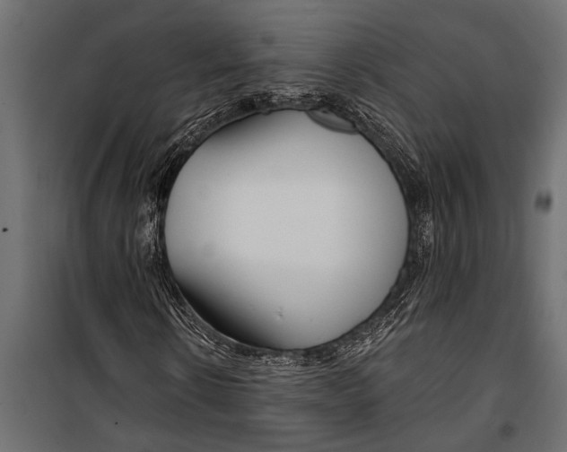 X0000099960914200806201333