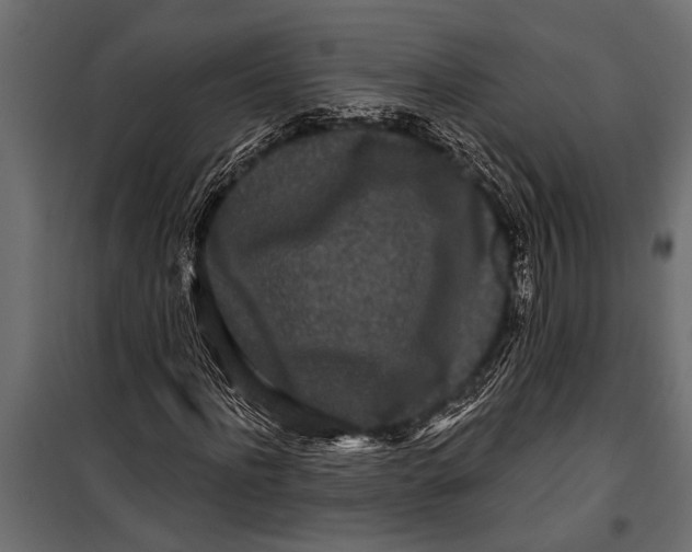 X0000099960916200806201333