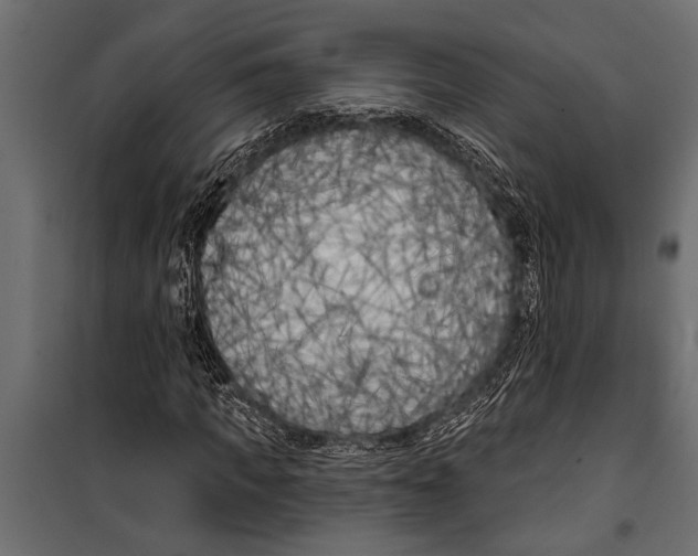 X0000099960917200806201333