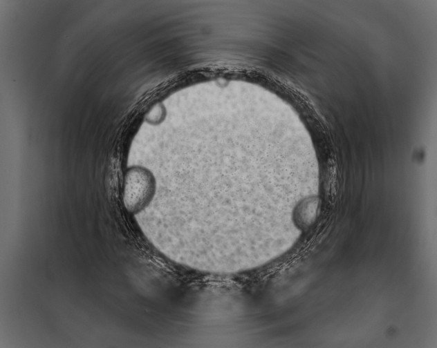 X0000099960918200806201333