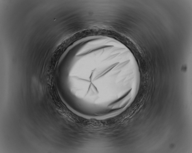 X0000099960919200806201333