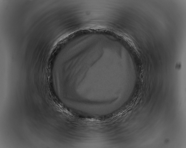 X0000099960920200806201333