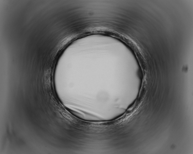 X0000099960921200806201333