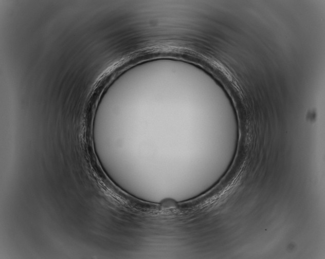 X0000099960922200806201333